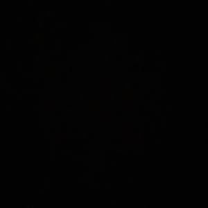 Meet your Posher, Destiny